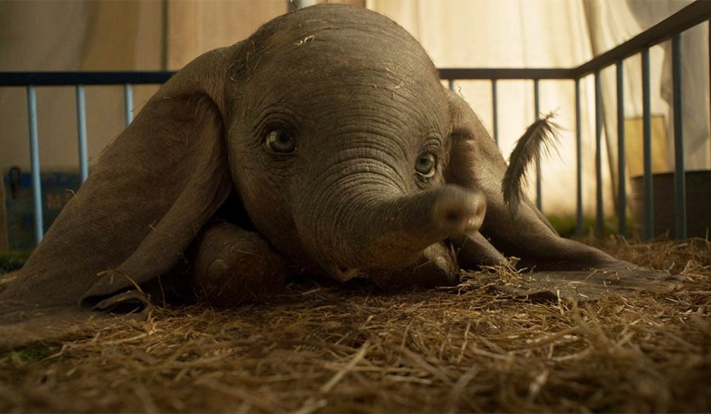 Dumbo Movie